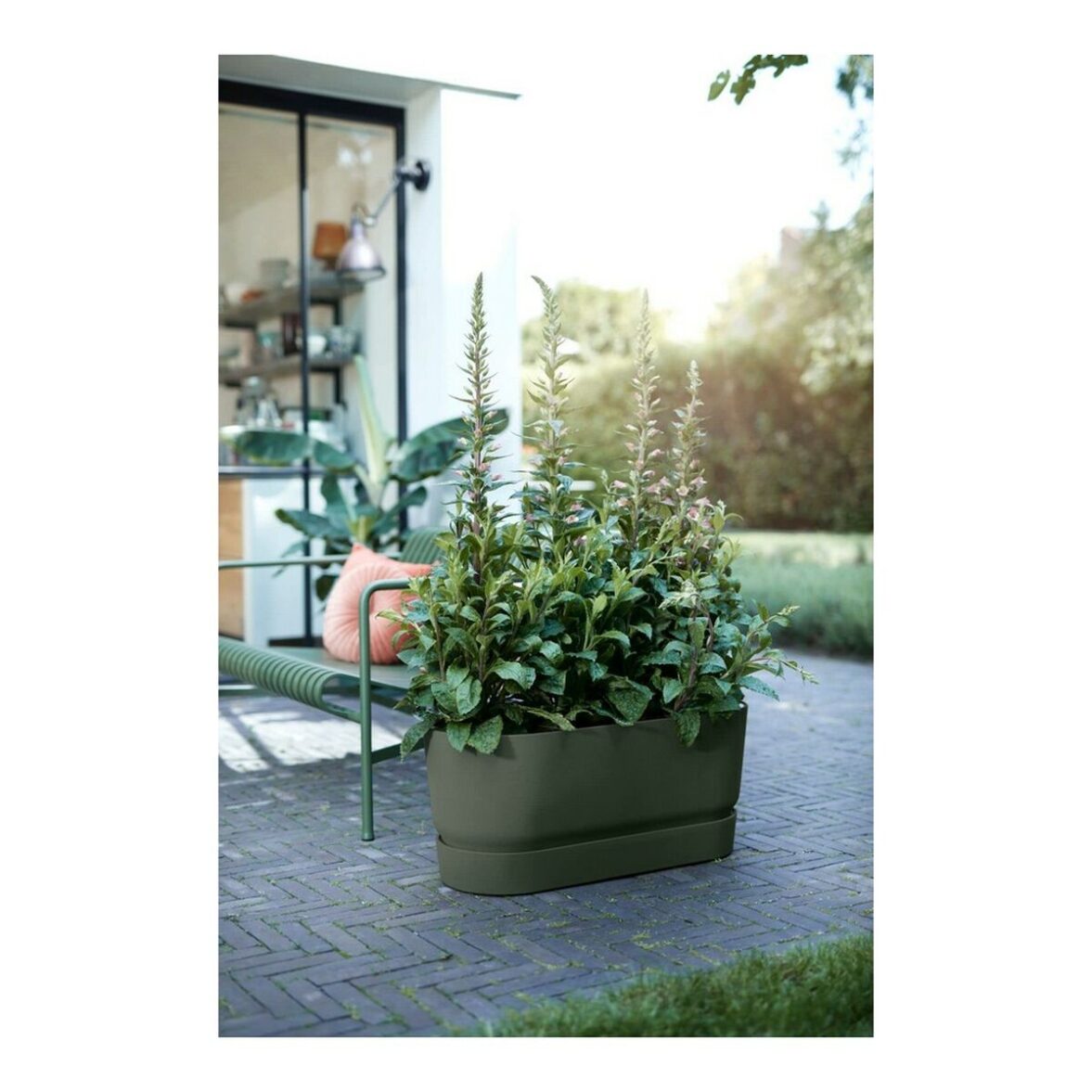 Maceta Elho 462726936000 Verde - Imagen 3