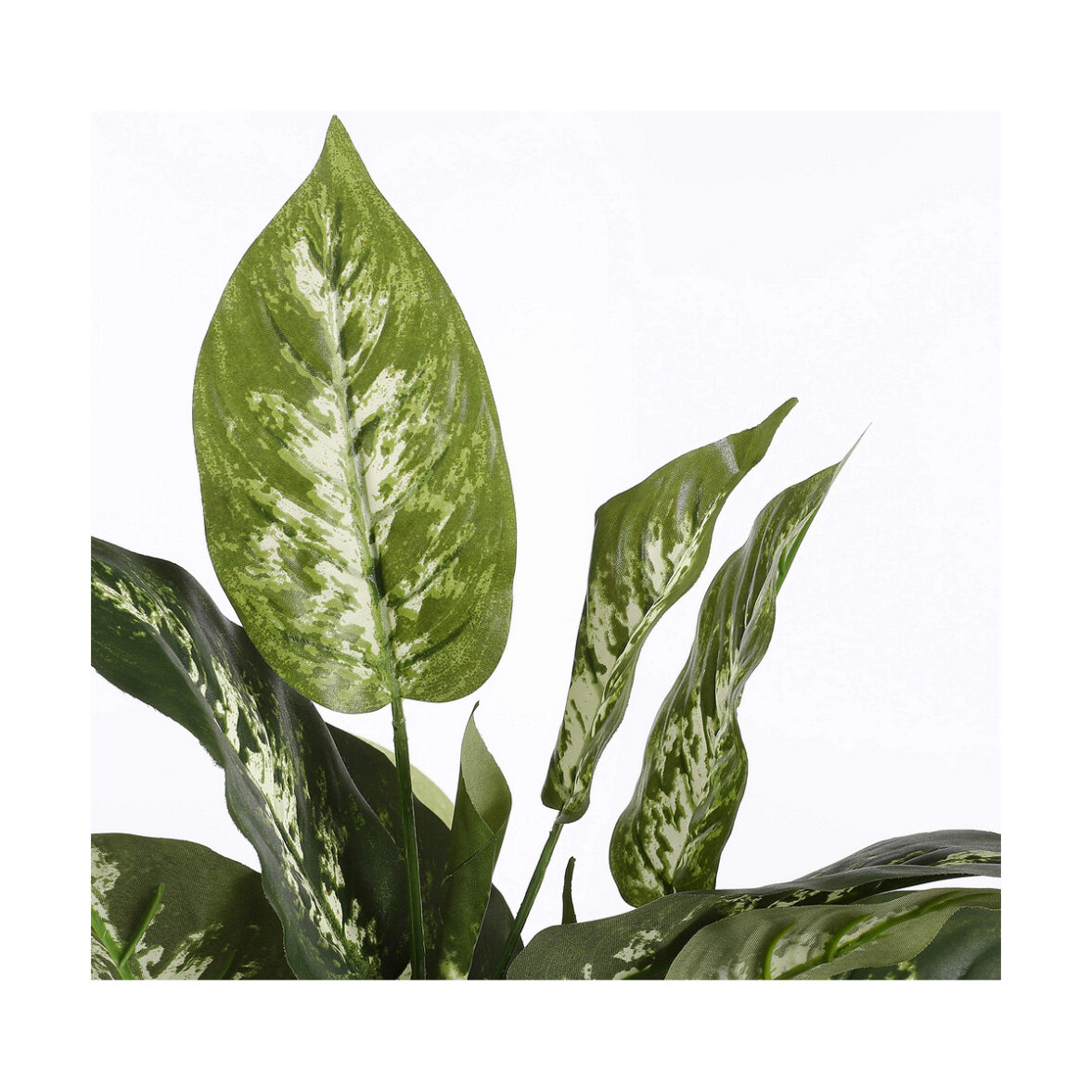 Planta Decorativa Mica Decorations Dieffenbachia Dieffenbachia Verde PVC (15,7 x 70 cm) - Imagen 3