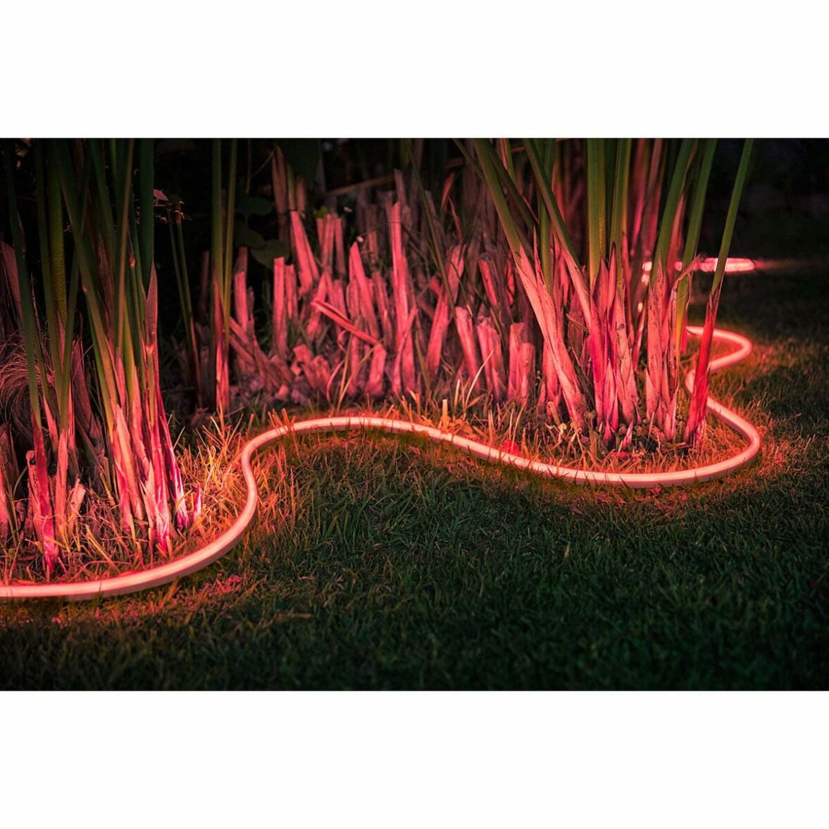 Tiras LED Philips Tira de luz para exteriores 5 metros G 6500 K - Imagen 7