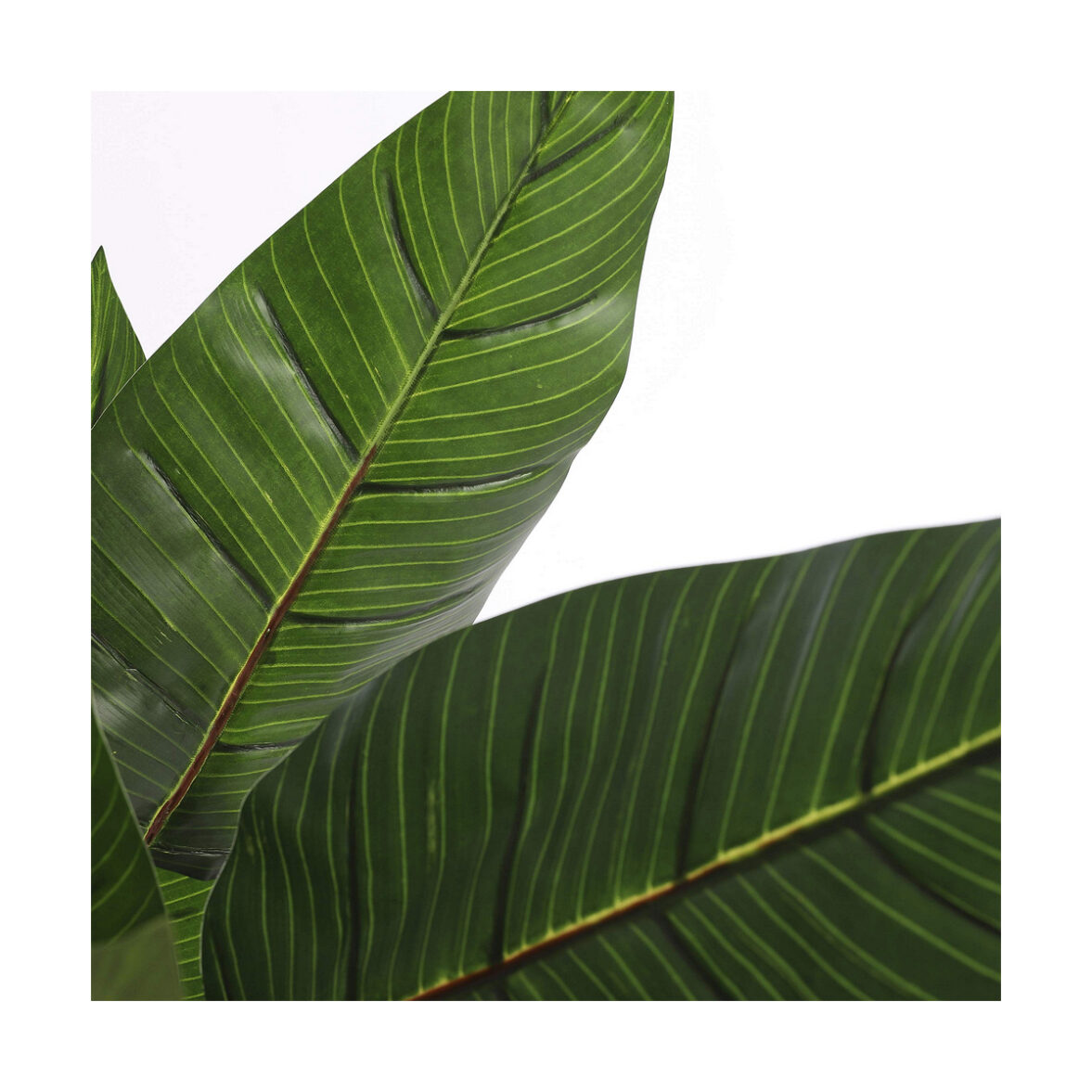 Planta Decorativa Mica Decorations Ave del paraíso 60 x 110 cm Poliuretano - Imagen 5