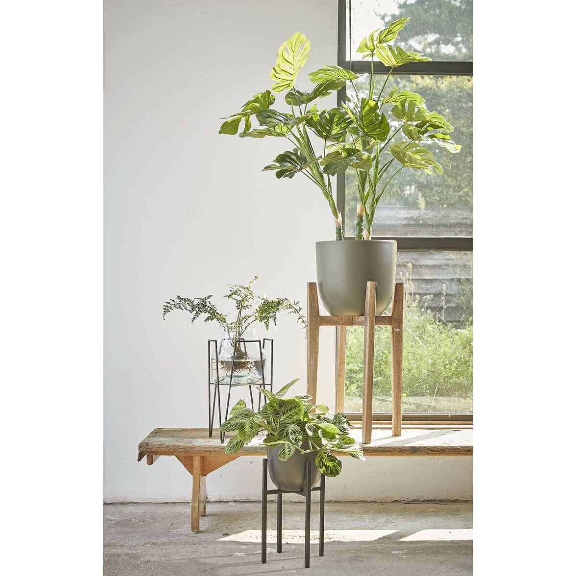 Soporte para Maceta Mica Decorations Ascot Madera 60 x 38 x 38 cm - Imagen 5