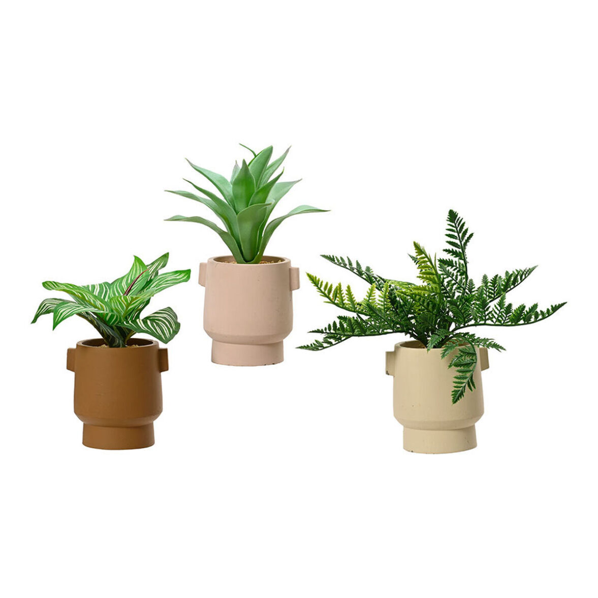 Planta Decorativa EDM 808559 25 cm Maceta