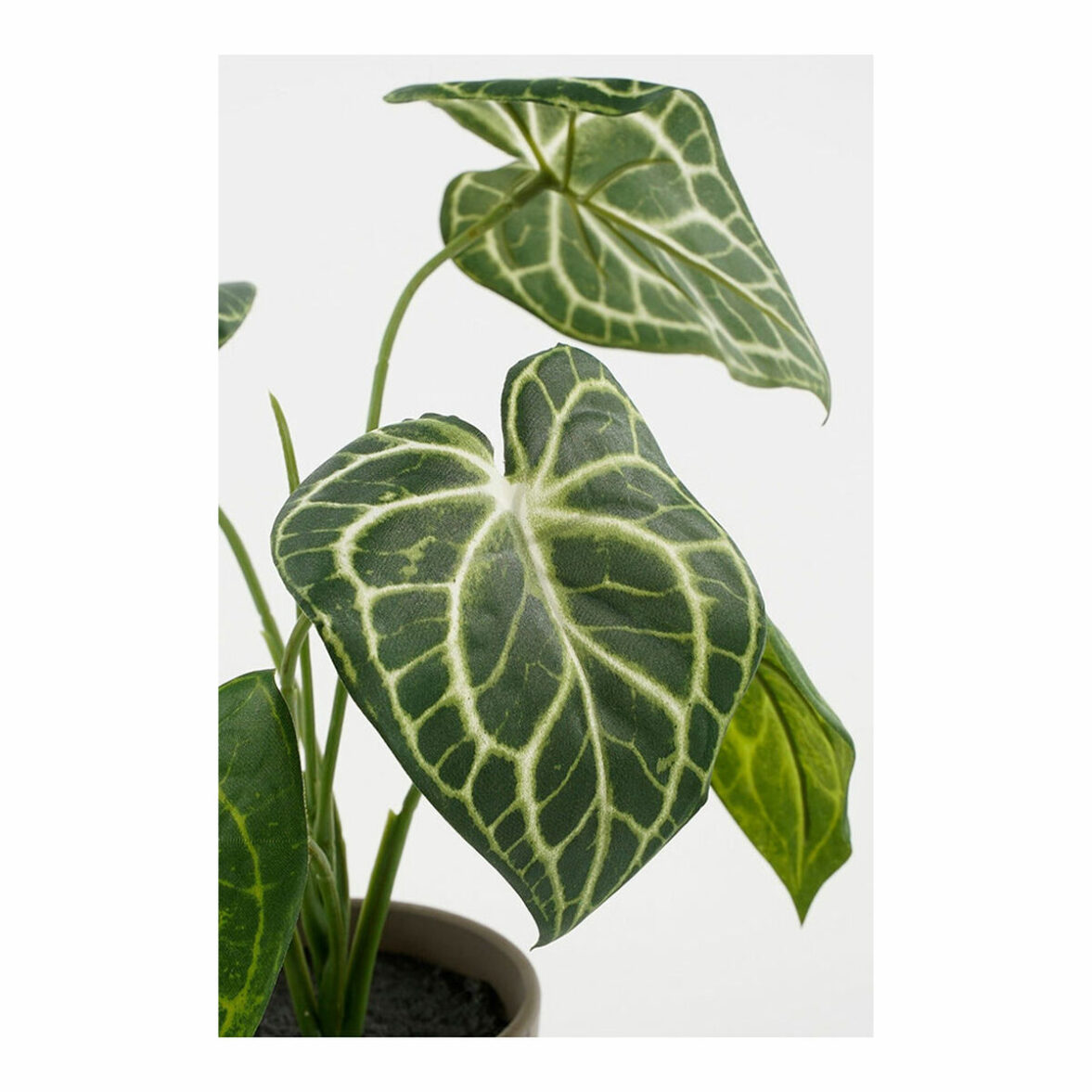 Planta Decorativa Mica Decorations Caladium Ø 21 x 28 cm Artificial - Imagen 5