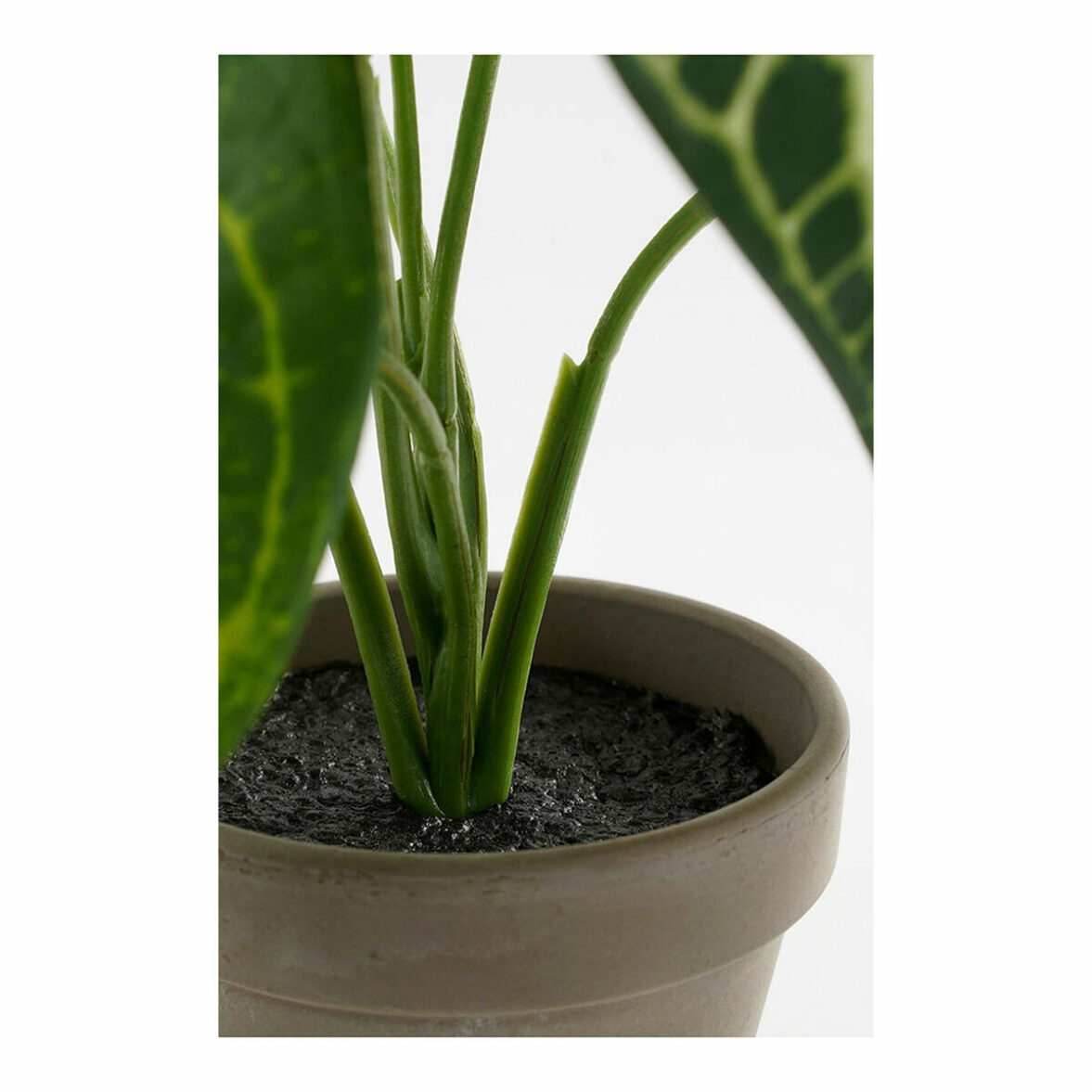 Planta Decorativa Mica Decorations Caladium Ø 21 x 28 cm Artificial - Imagen 6