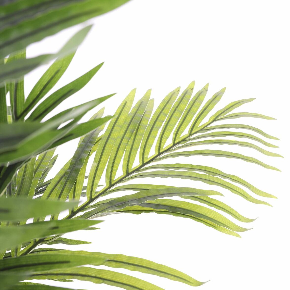 Planta Decorativa Mica Decorations Palmera 80 x 160 cm - Imagen 4