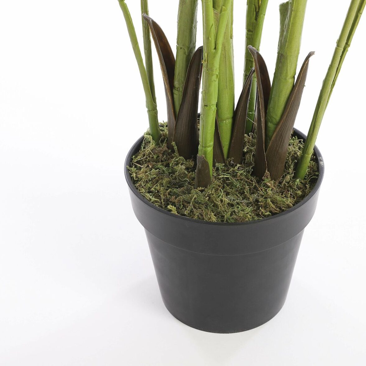 Planta Decorativa Mica Decorations Palmera 80 x 160 cm - Imagen 3