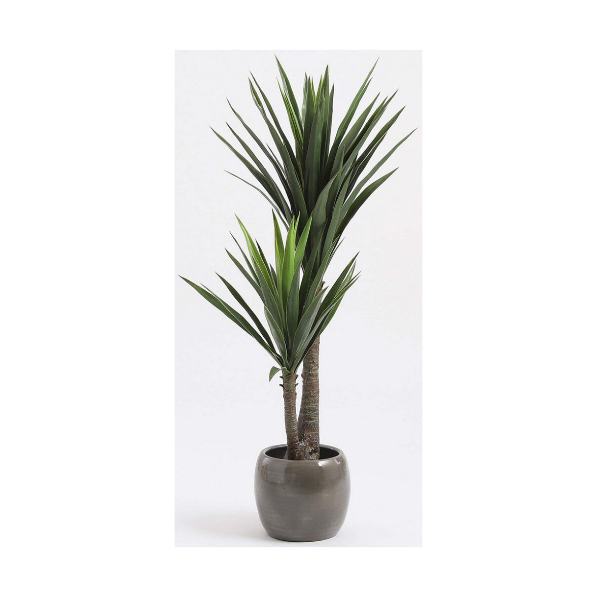 Planta Decorativa Mica Decorations Yucca (120 x 60 cm) - Imagen 3