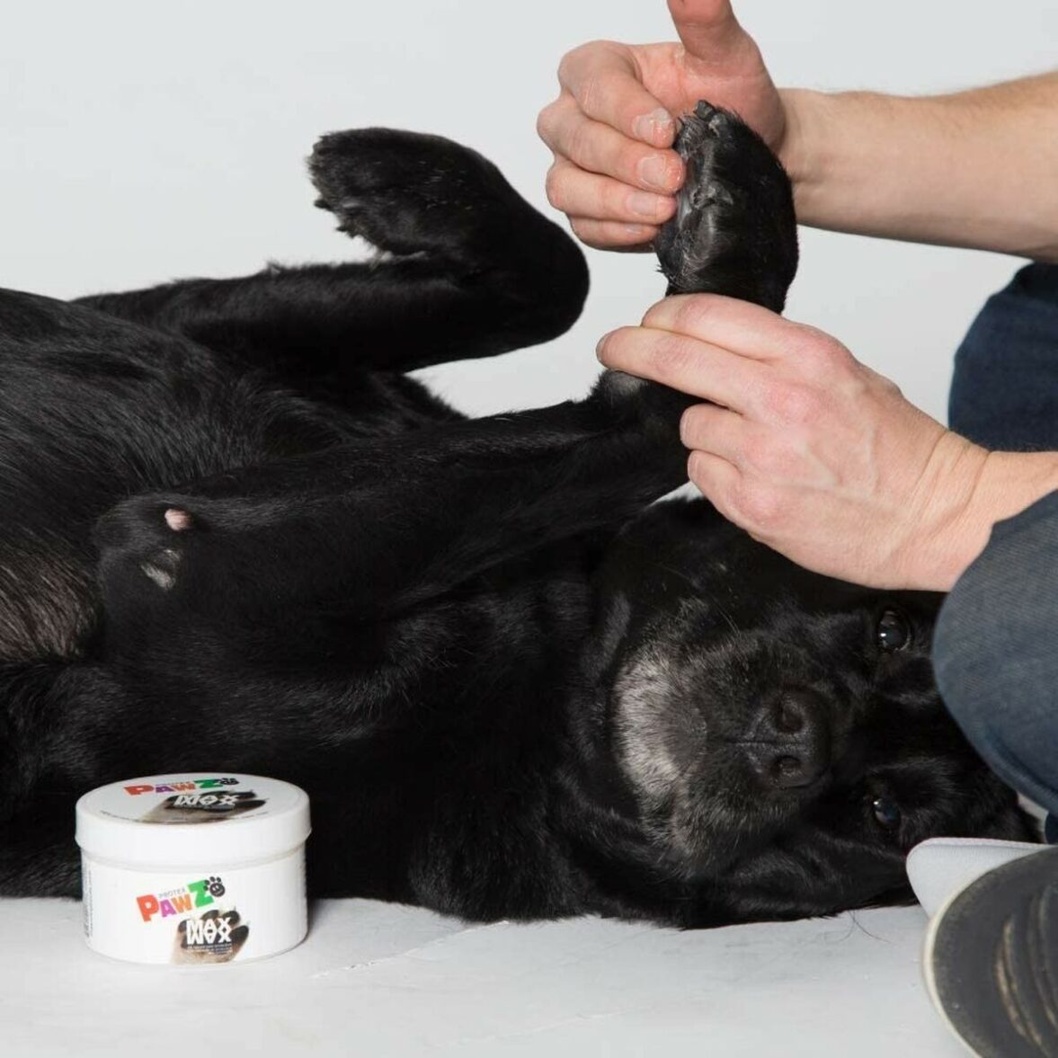 Cera Pawz MAXWAX 200 gr - Imagen 4