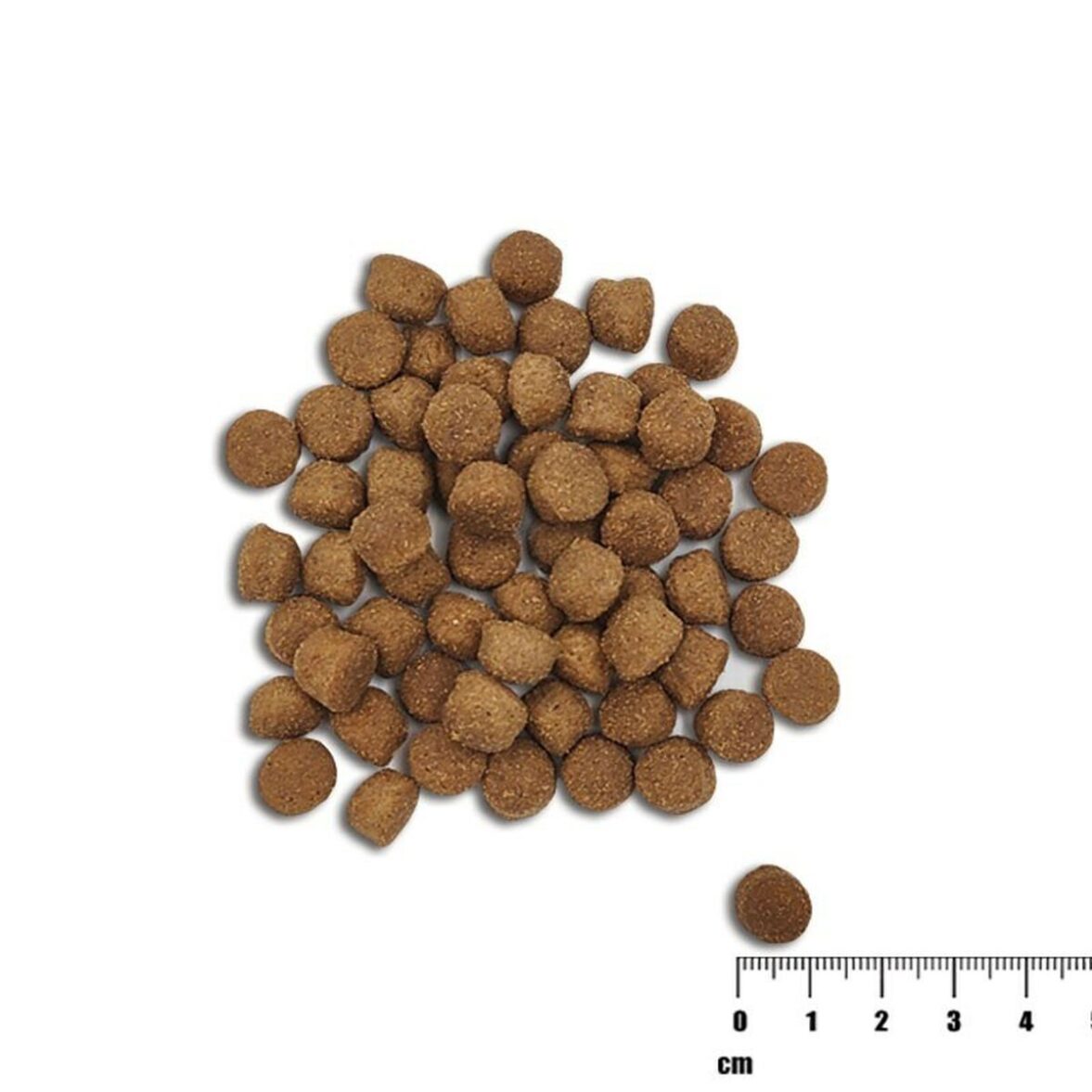 Pienso VETEXPERT Raw Paleo Healthy Grain Puppy Salmon y cebada Salmón 2 Kg - Imagen 3