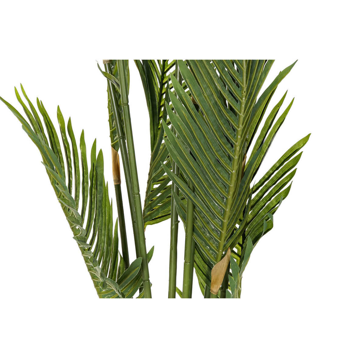 Planta Decorativa DKD Home Decor Palmeras Verde PE (50 x 50 x 180 cm) - Imagen 4