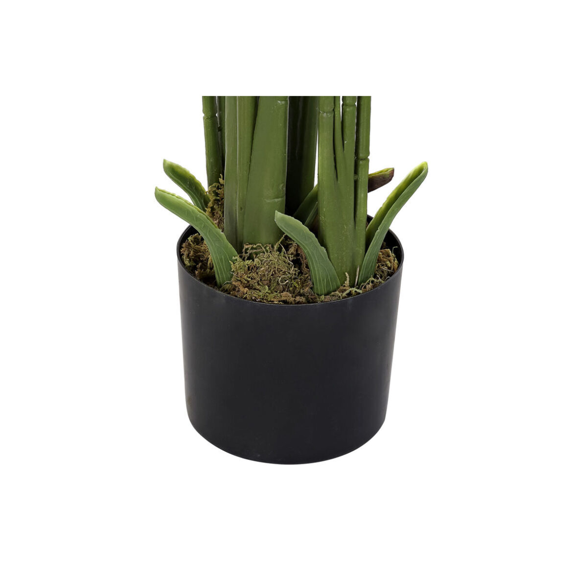 Planta Decorativa DKD Home Decor Palmeras Verde PE (50 x 50 x 180 cm) - Imagen 3