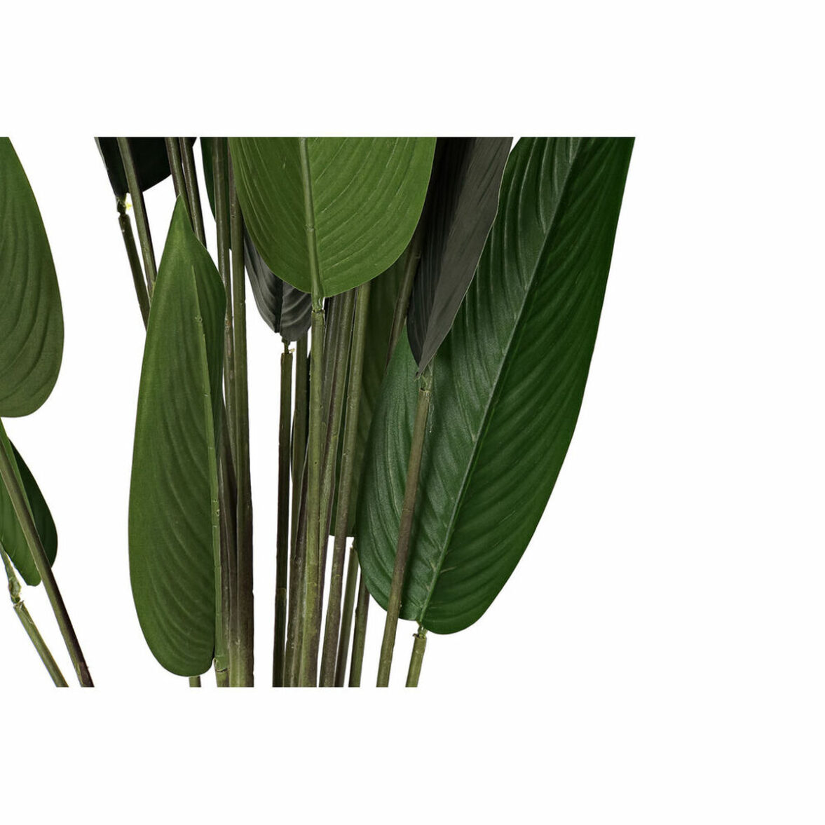 Planta Decorativa DKD Home Decor 50 x 50 x 160 cm Polietileno Verde Ave del paraíso Urbano - Imagen 4