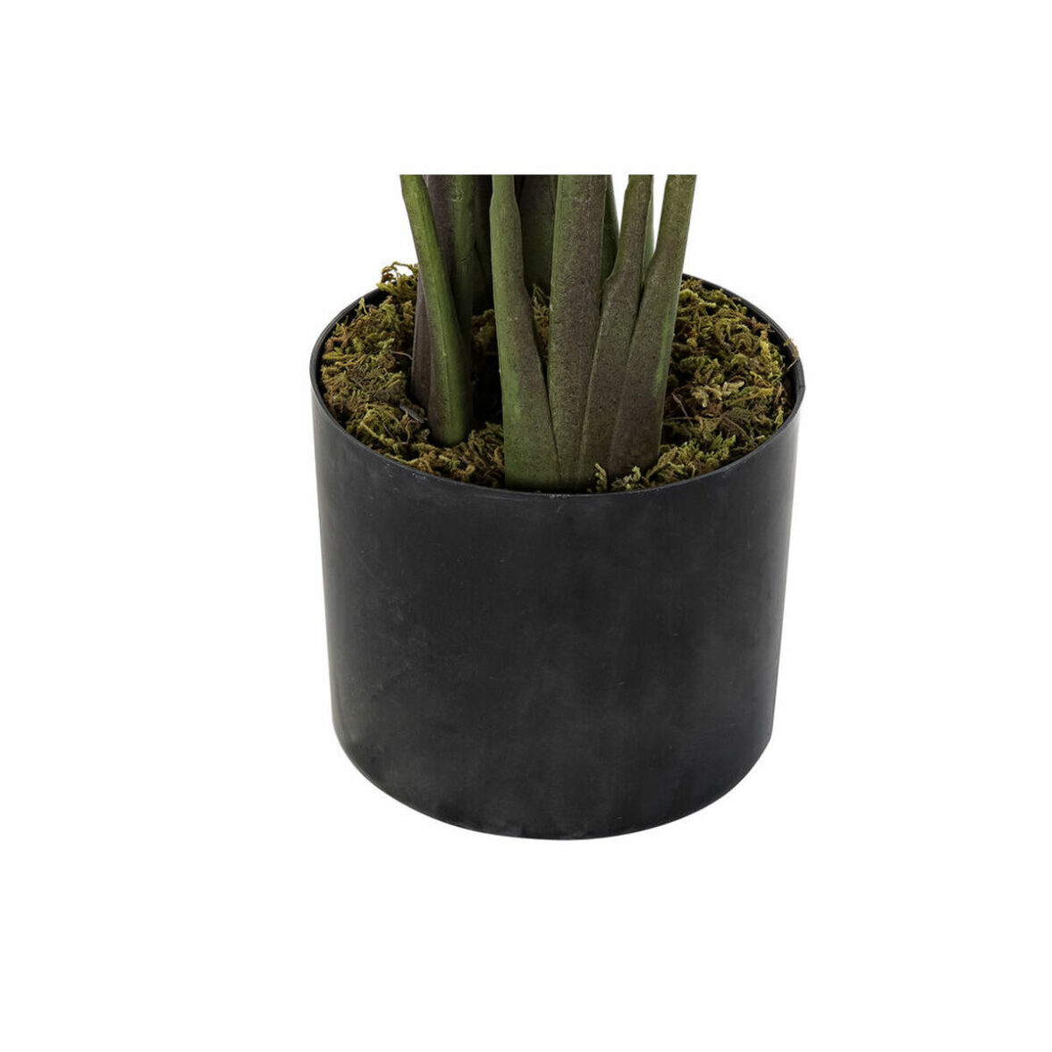 Planta Decorativa DKD Home Decor 50 x 50 x 160 cm Polietileno Verde Ave del paraíso Urbano - Imagen 3