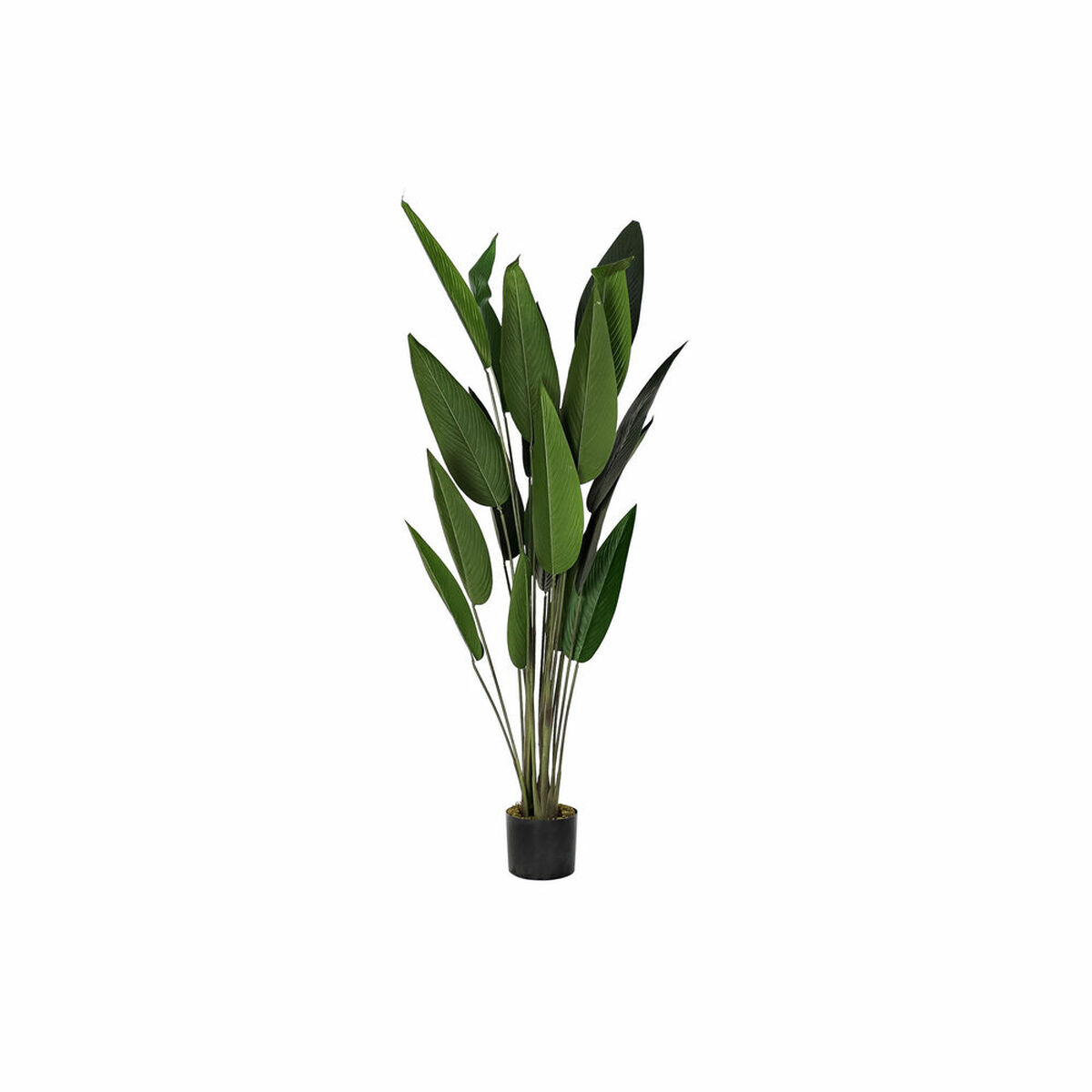 Planta Decorativa DKD Home Decor 50 x 50 x 160 cm Polietileno Verde Ave del paraíso Urbano