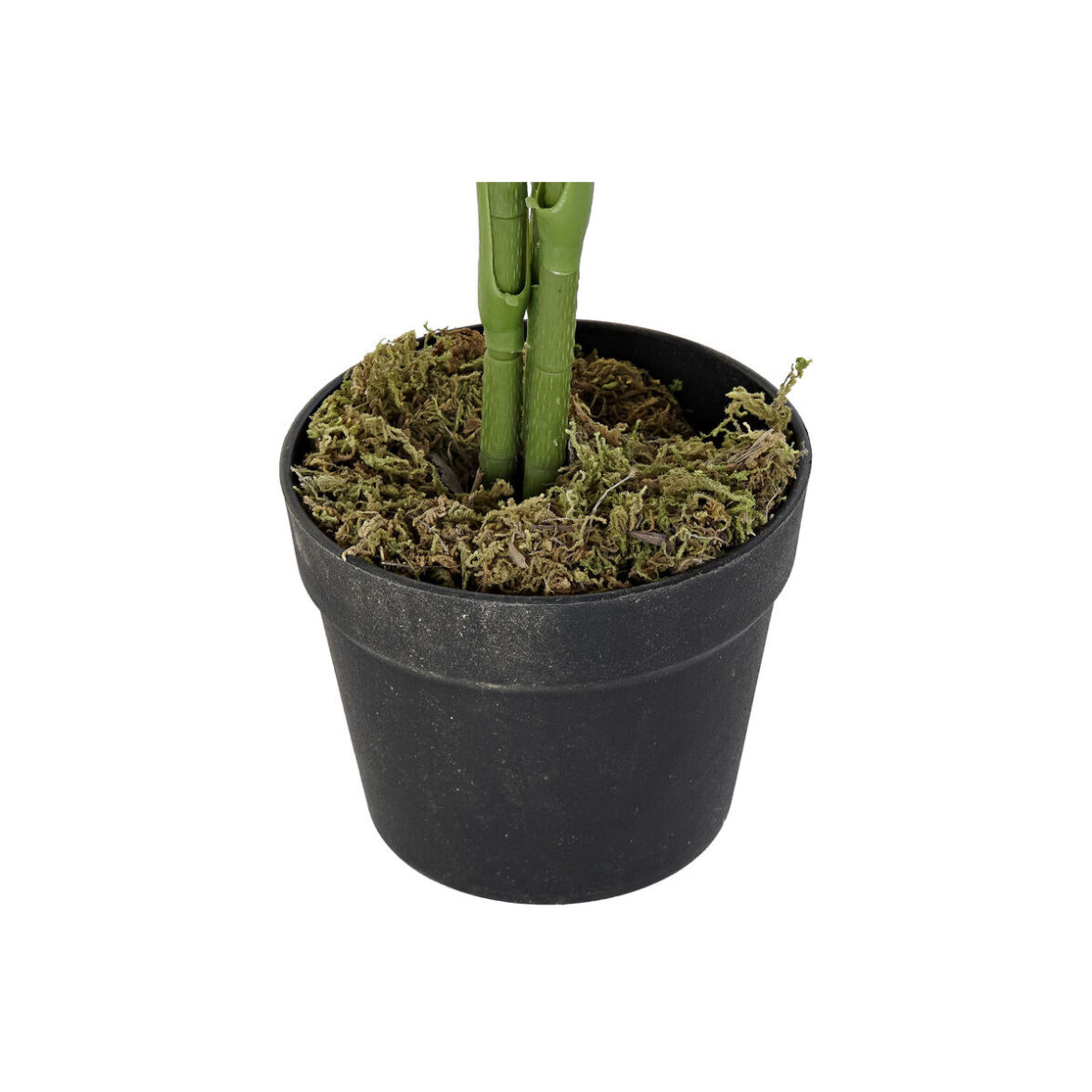 Planta Decorativa DKD Home Decor Palmera 40 x 40 x 100 cm Polietileno Verde Urbano - Imagen 3