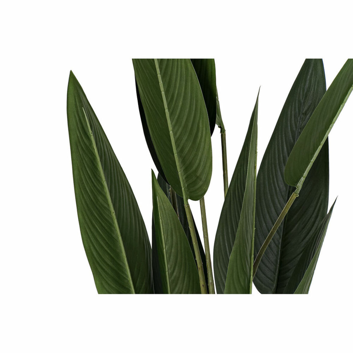 Planta Decorativa DKD Home Decor 40 x 40 x 115 cm Polietileno Verde Ave del paraíso Urbano - Imagen 4