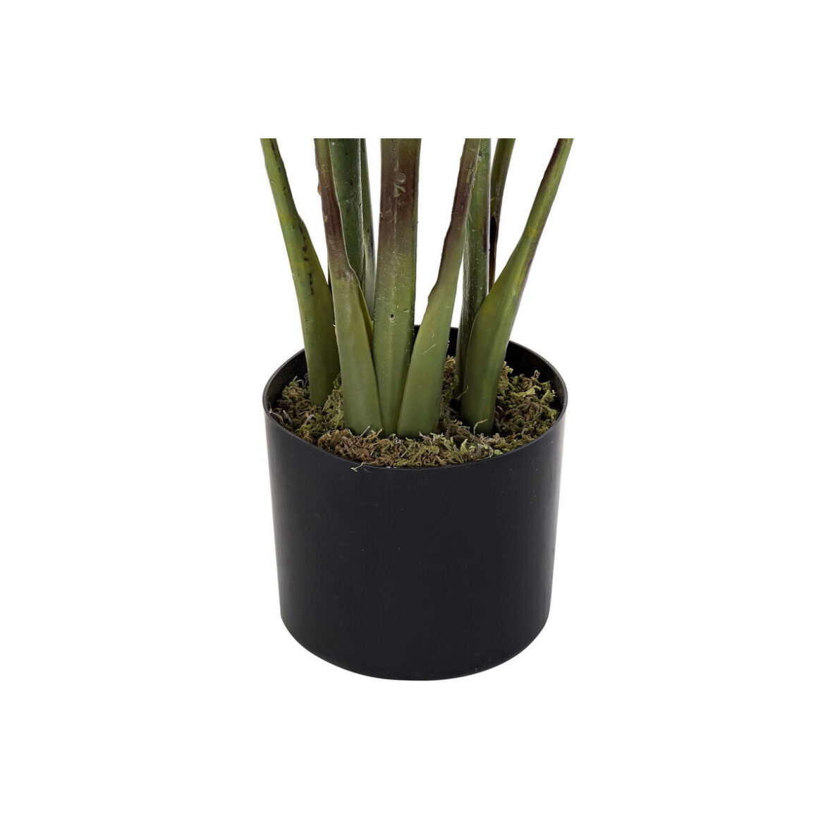 Planta Decorativa DKD Home Decor 40 x 40 x 115 cm Polietileno Verde Ave del paraíso Urbano - Imagen 3