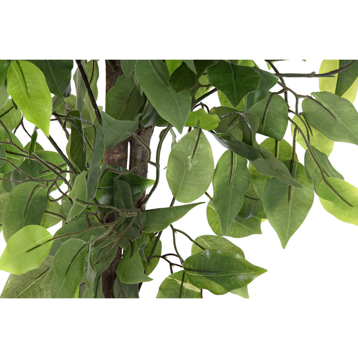 Planta Decorativa DKD Home Decor 50 x 50 x 90 cm Metal Polietileno Verde 30 x 40 cm Ficus Urbano - Imagen 3