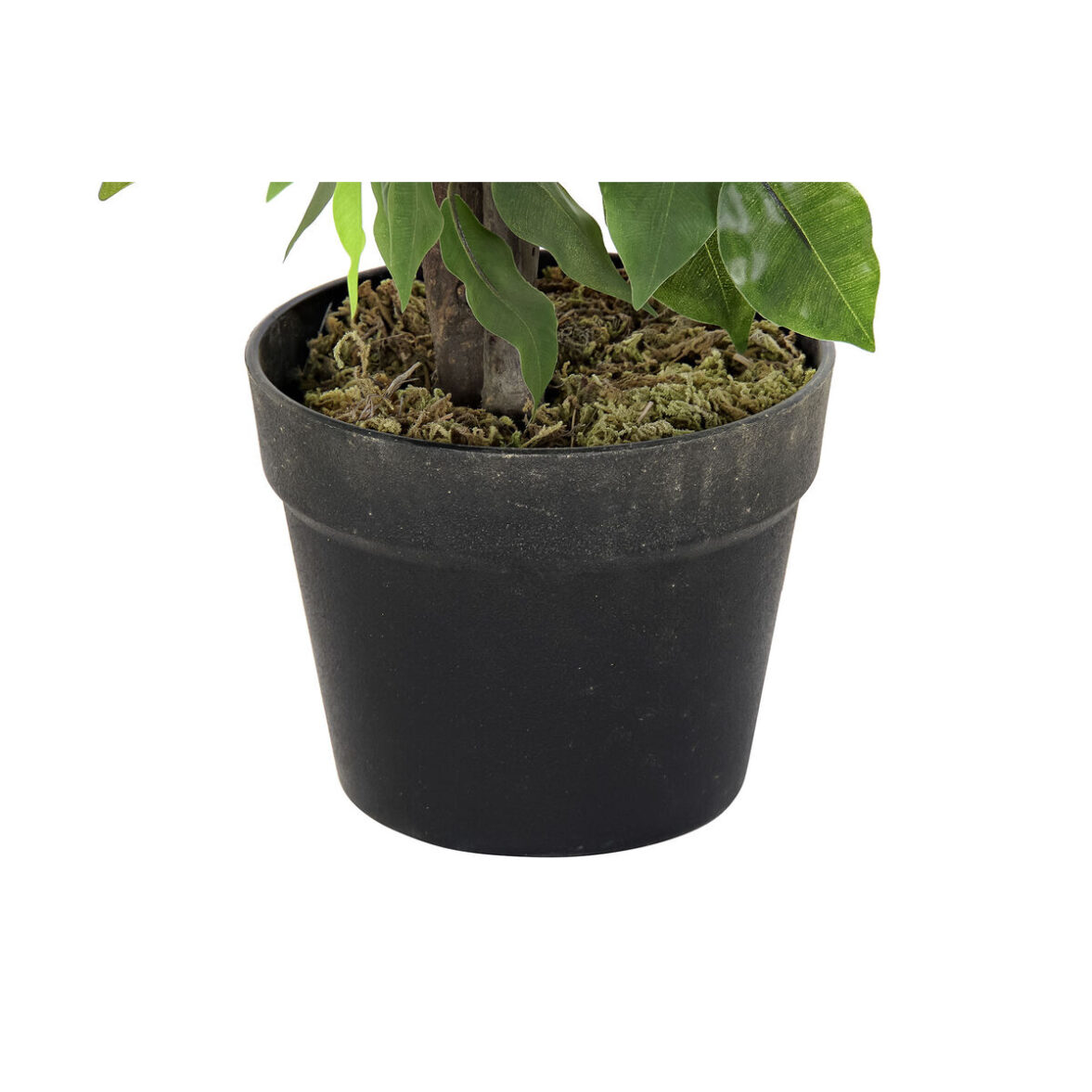 Planta Decorativa DKD Home Decor 50 x 50 x 90 cm Metal Polietileno Verde 30 x 40 cm Ficus Urbano - Imagen 4
