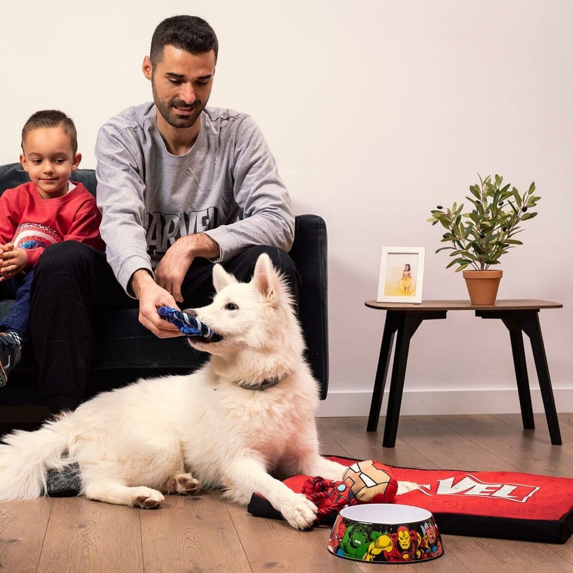 Cama para Perro Marvel Multicolor - Imagen 8