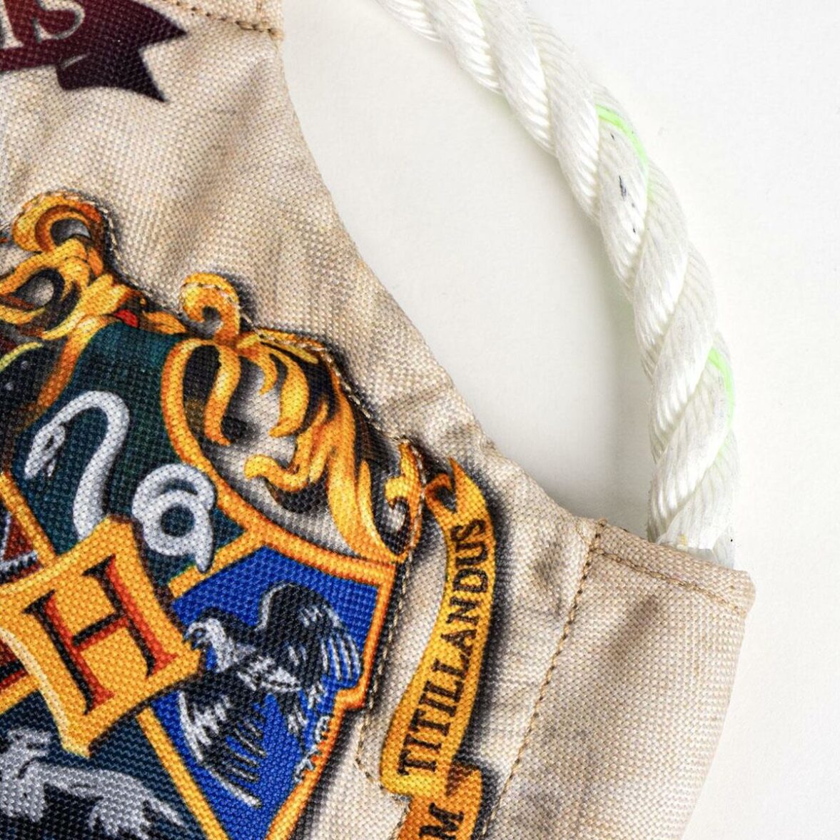 Juguete para perros Harry Potter Beige 22,0 x 22,0 x 6,0 cm - Imagen 3